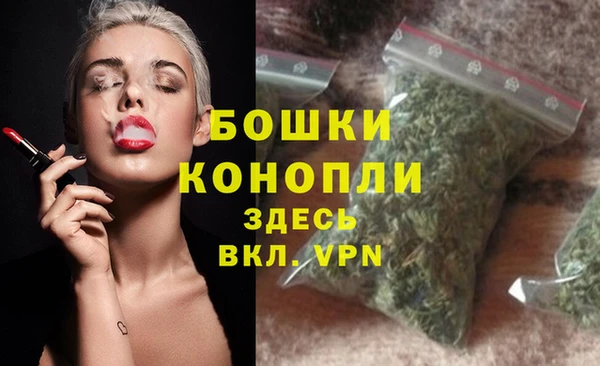 стафф Аркадак