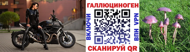 где можно купить наркотик mega ссылка Галлюциногенные грибы GOLDEN TEACHER Старый Крым